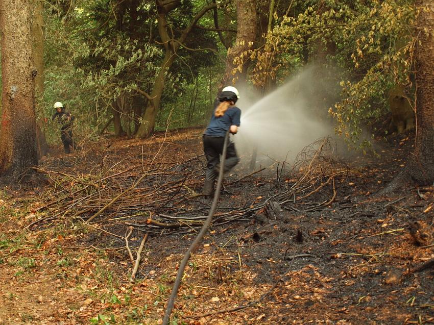 Waldbrand Bergisch Gladbach Bensberg P170.JPG